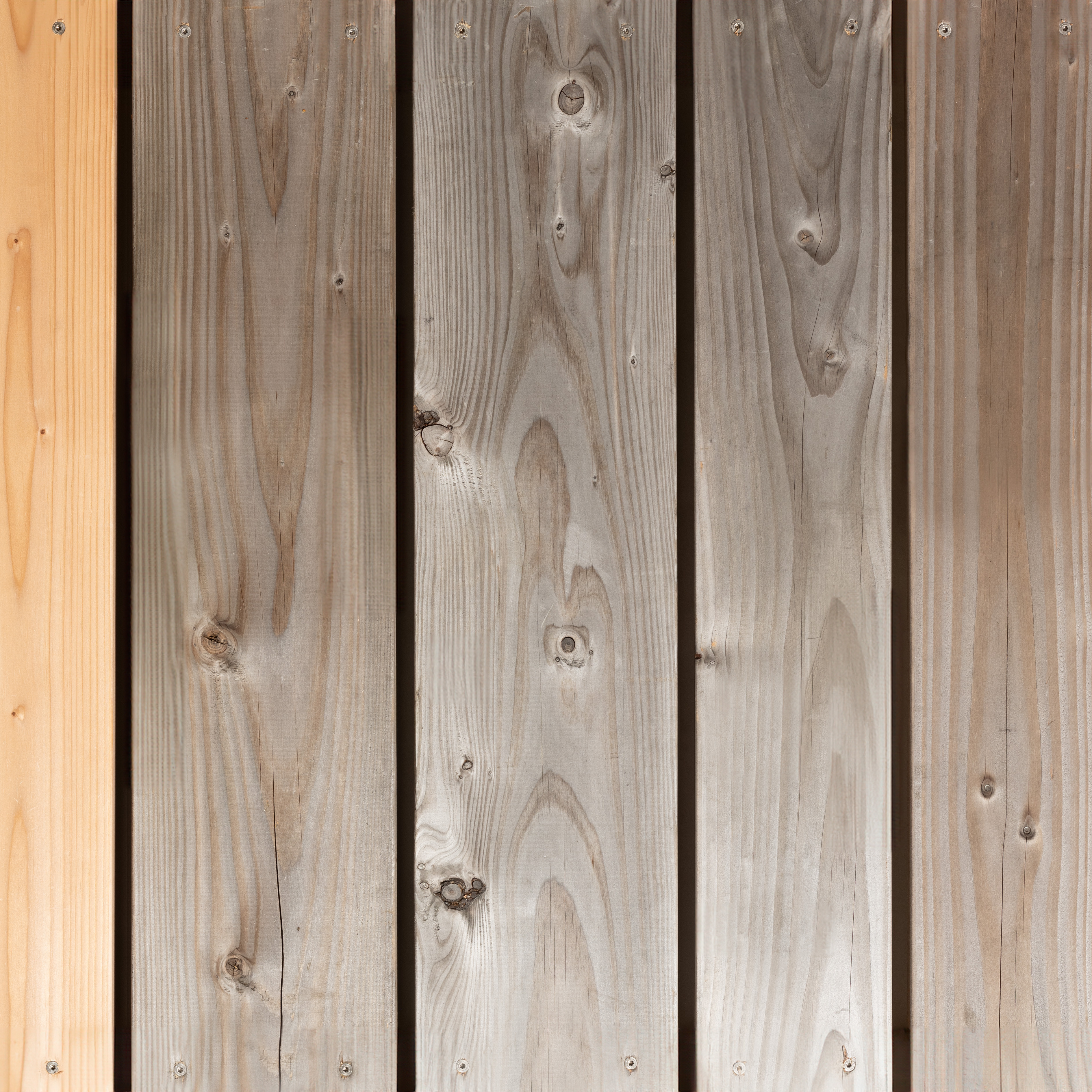 DOUGLAS FIR 45x145 SHP
