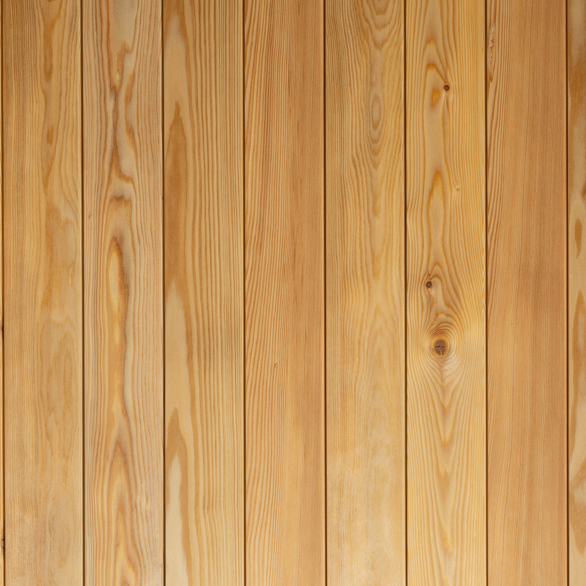 PANEL LARCH 21 x 95 STS4P W