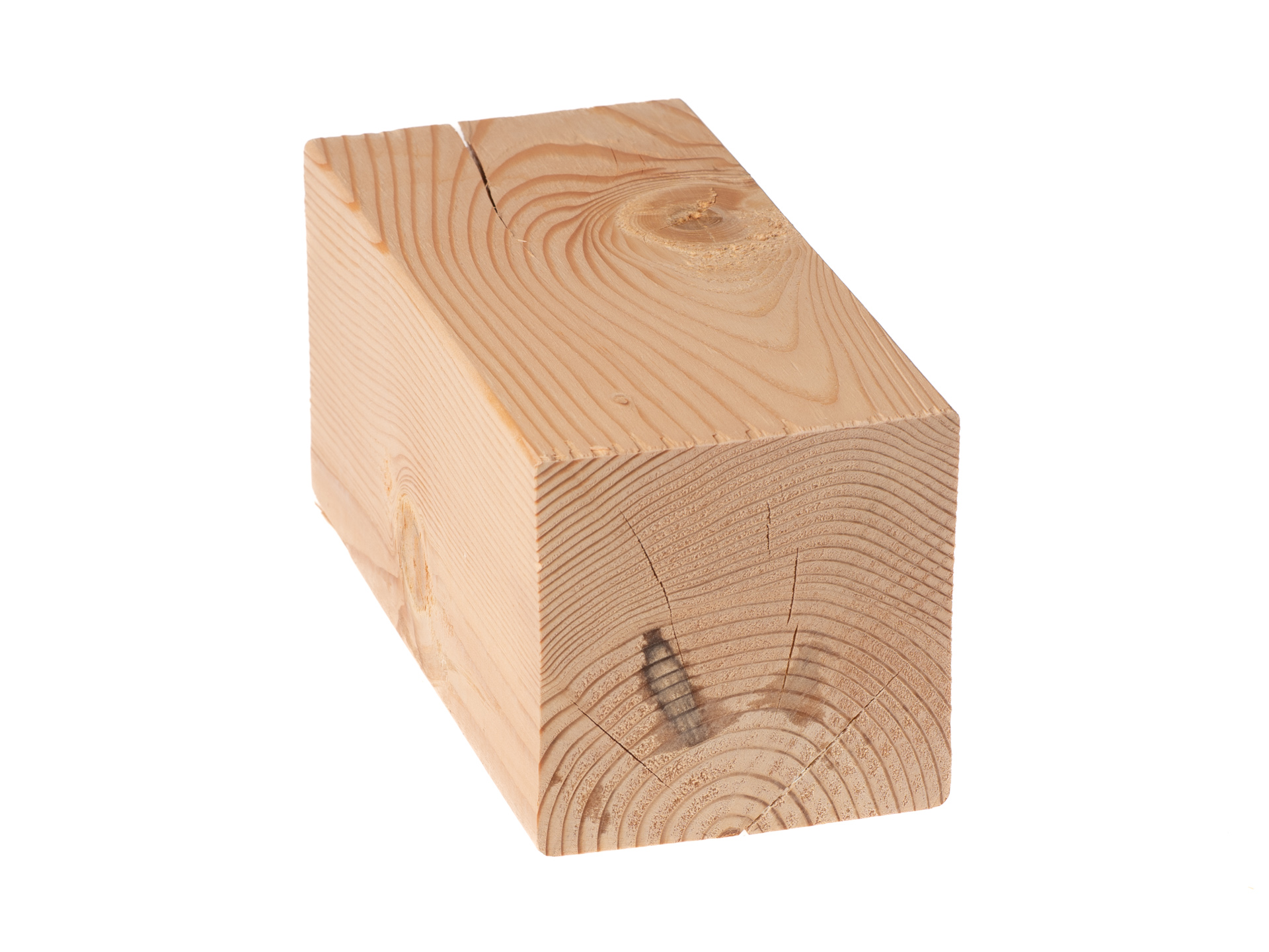 TOLPPA DOUGLASKUUSI 90 x 90 SHP